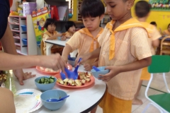 Food & Vegetables Salad