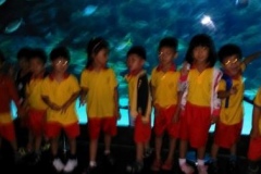 Outing to Aquaria KLCC 2015