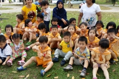 Picnic at The Park 2015